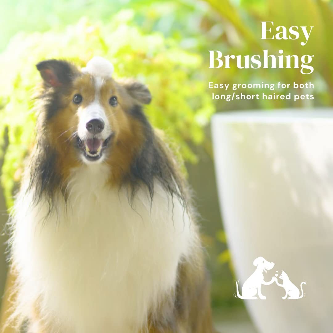 Self-Cleaning Pet Grooming Brush – Slicker Brush for Dogs & Cats to Remove Loose Hair, Mats & Tangles