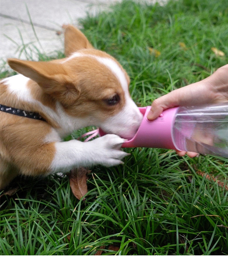 Best Portable Dog Water Bottle Dispenser – Leak-Proof Travel Dog Water Bottle with Bowl