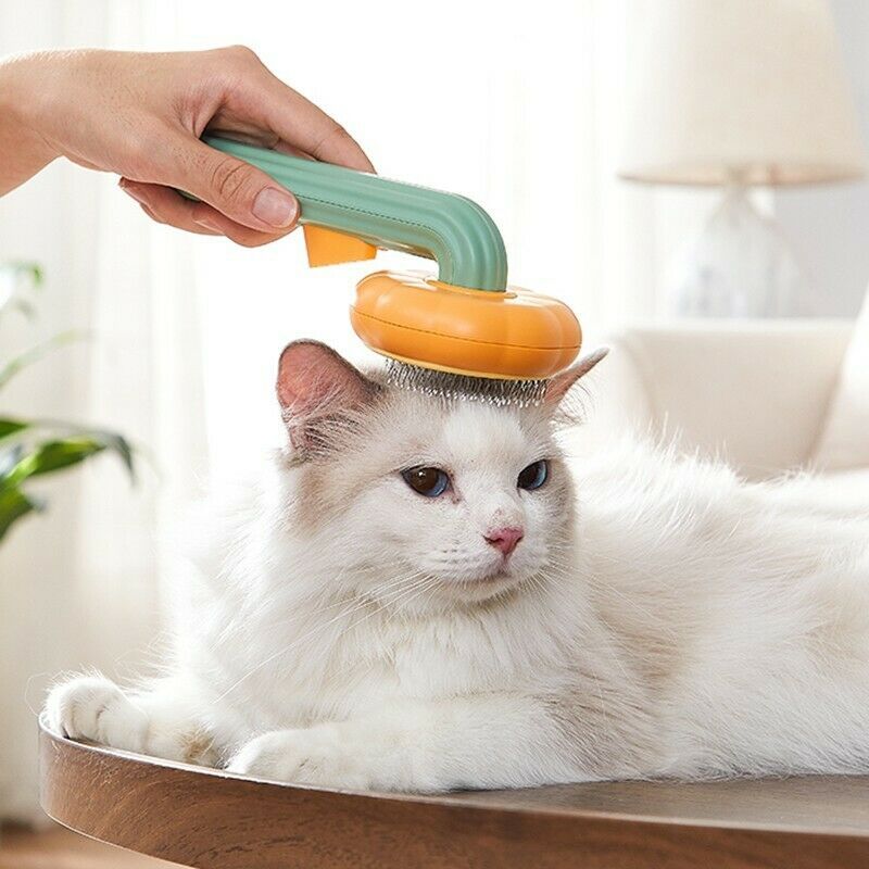 Pumpkin-Shaped Pet Self Cleaning Slicker Brush – Grooming Brush for Dogs, Cats & Rabbits