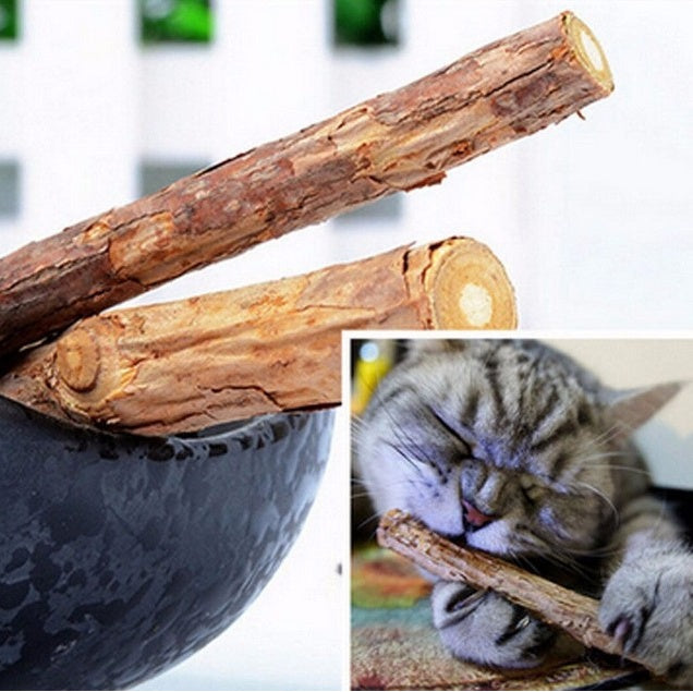 5PCS Natural Matatabi Catnip Chew Sticks – Healthy Catnip Chew Toy for Kittens & Cats