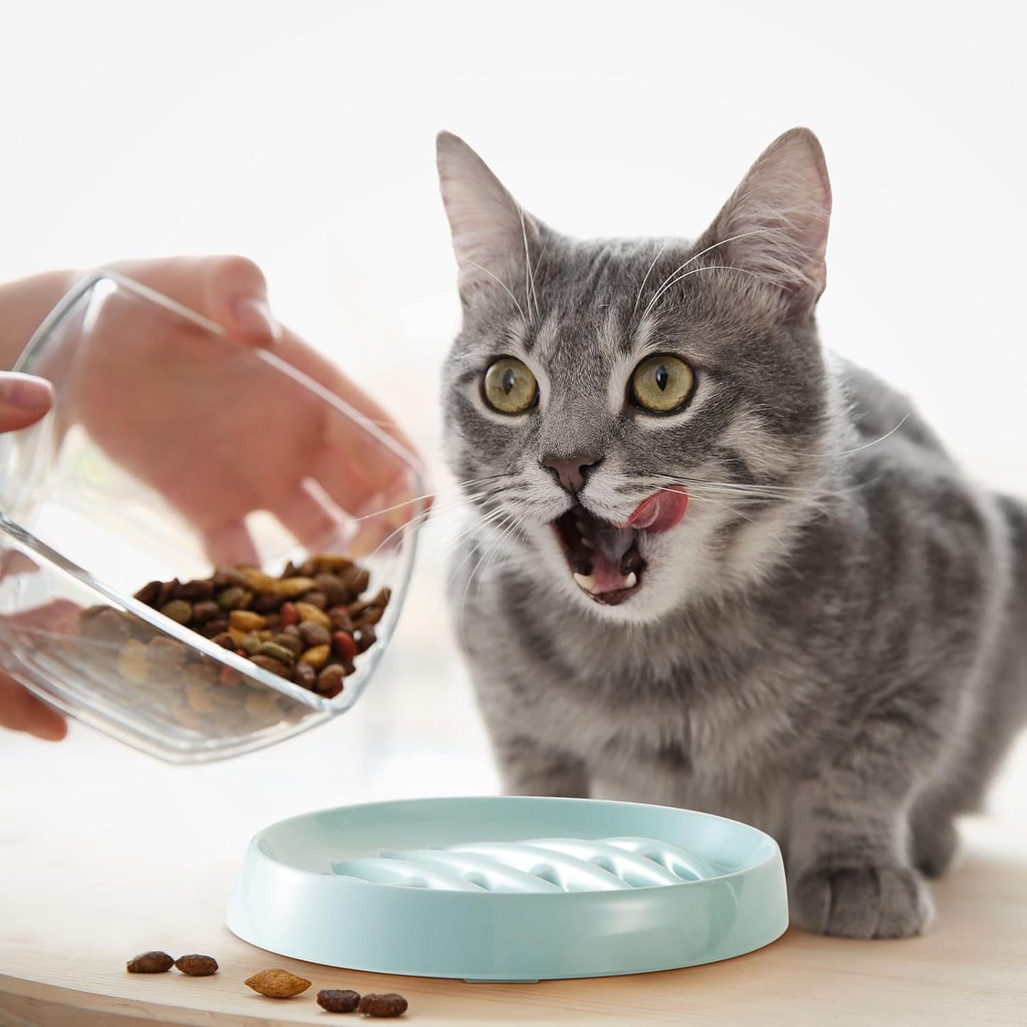 Fishbone Cat Slow Feeder Bowl – Interactive Cat Slow Feeder Dish for Wet & Dry Food, Anti-Gulping & Bloat Prevention