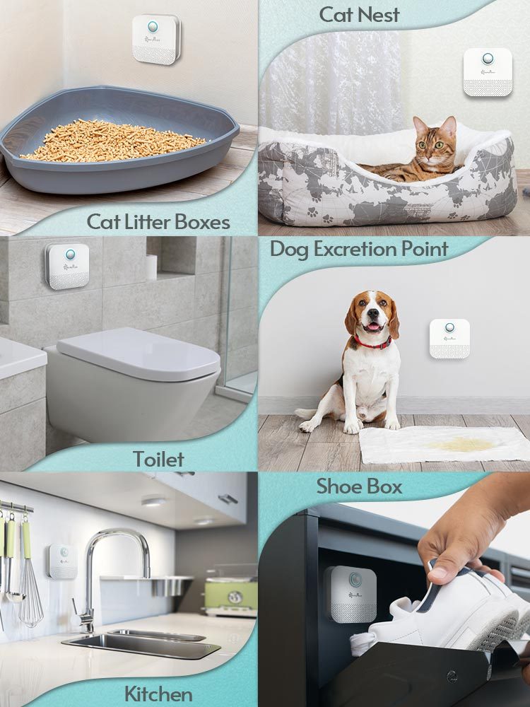 Noval Smart Pet Deodorizer – Automatic Cat Litter Basin Air Purifier for Fresh, Odor-Free Homes