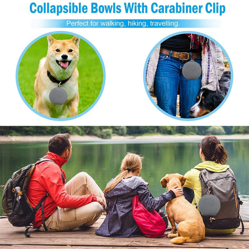 Foldable Silicone Double Pet Feeding Bowl – Portable No-Spill Travel Bowls for Dogs & Cats with Non-Slip Mat