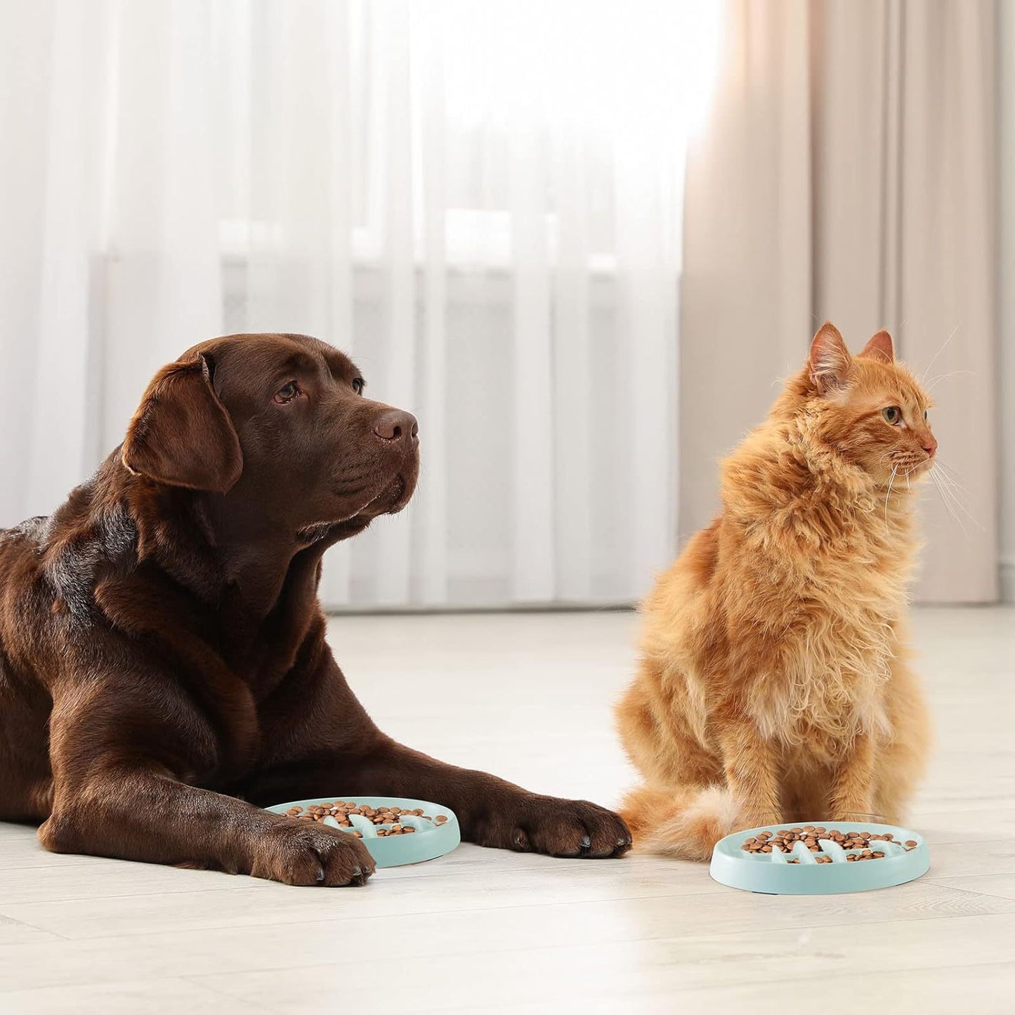 Fishbone Cat Slow Feeder Bowl – Interactive Cat Slow Feeder Dish for Wet & Dry Food, Anti-Gulping & Bloat Prevention