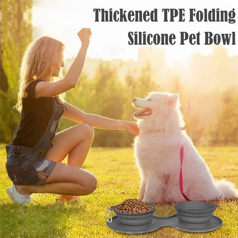 Foldable Silicone Double Pet Feeding Bowl – Portable No-Spill Travel Bowls for Dogs & Cats with Non-Slip Mat