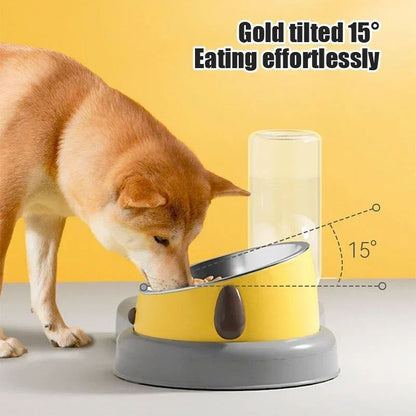 2-in-1 Tilted Pet Feeder Bowl with Automatic Water Dispenser – Neck Protection Feeding Station for Cats & Small Dogs