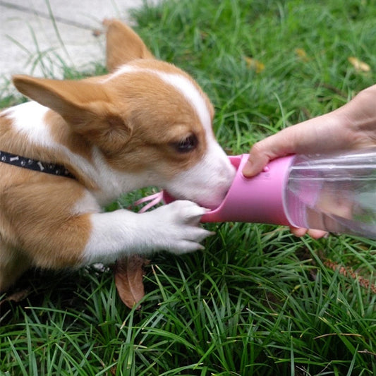Best Portable Dog Water Bottle Dispenser – Leak-Proof Travel Dog Water Bottle with Bowl