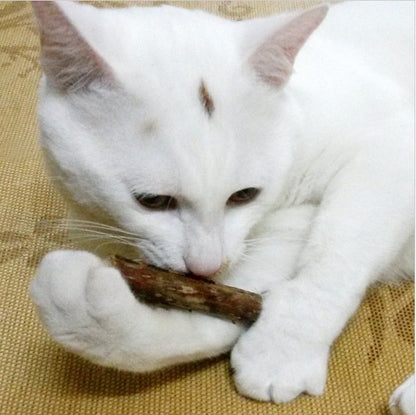 5PCS Natural Matatabi Catnip Chew Sticks – Healthy Catnip Chew Toy for Kittens & Cats