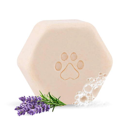 Oliva60 Organic Vegan Pet Shampoo Bar – Natural Oatmeal & Lavender Dog Shampoo for Sensitive Skin