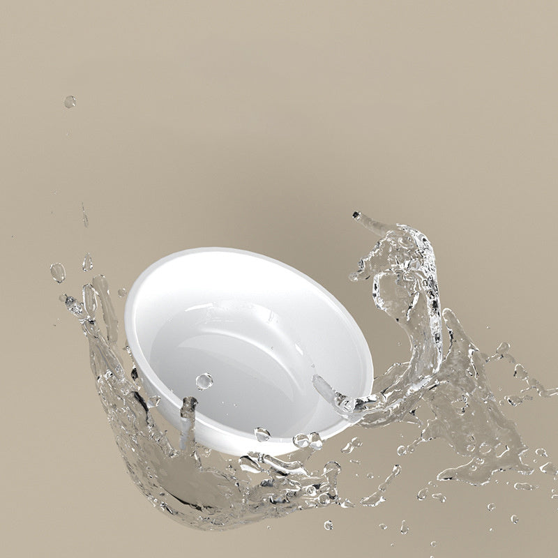 15° Tilted Stainless Steel Cat Bowl – Elevated Cat Bowl with Stand for Cervical Spine Protection