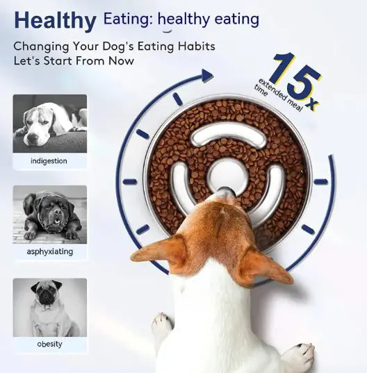 Stainless Steel Pet Slow Feeding Bowl – Cat & Dog Slow Feeder with Neck Protector for Healthy Digestion